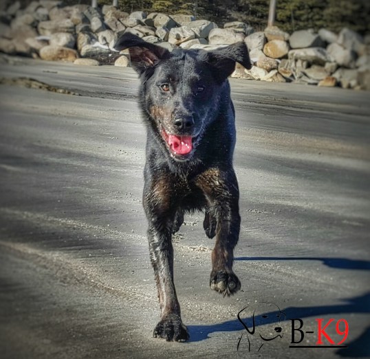 20160105_131524(0)-01-01eir