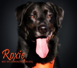 Roxie, Best K9's Demonstration Dog