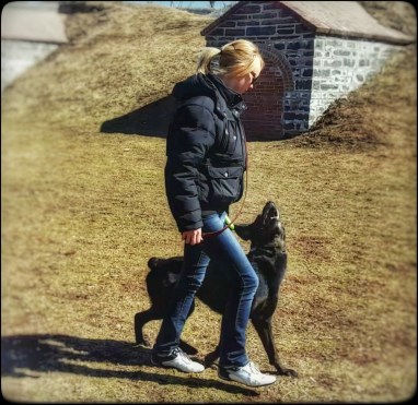 Screenshot_2016-03-21-00-16-45-01