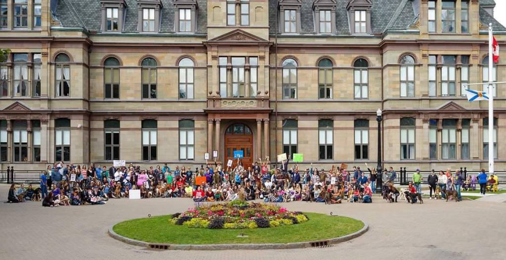 14536482_1110993622281246_429193300_o