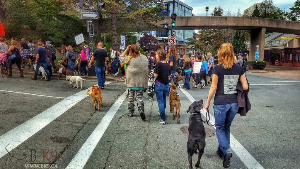 BEST K9 Partaking in the walk against BSL