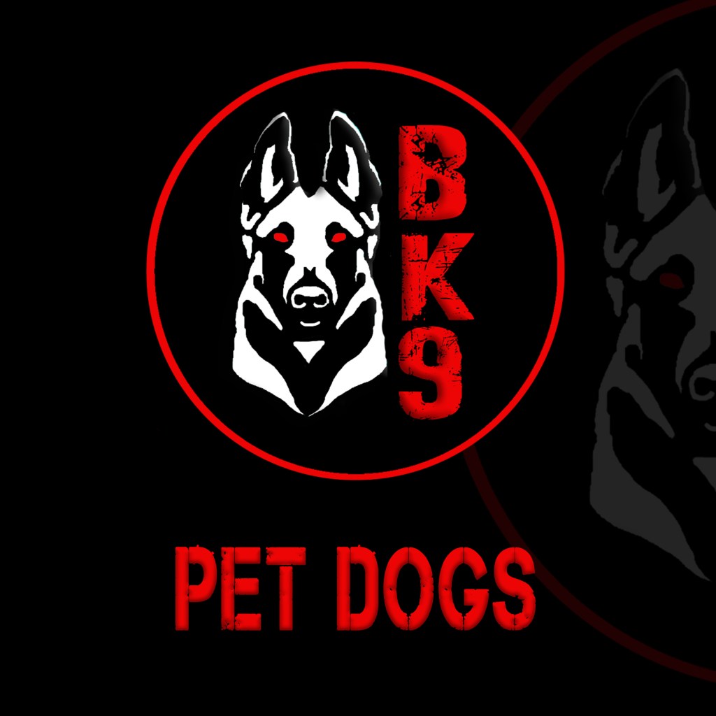 pet dog training 
bk9 pet training 
bk9 dog training 