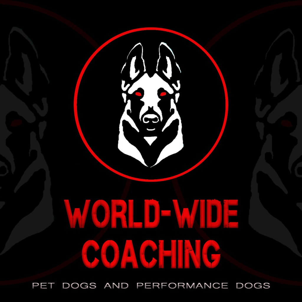 online education 
online dog training 
online one on one training
dog training online